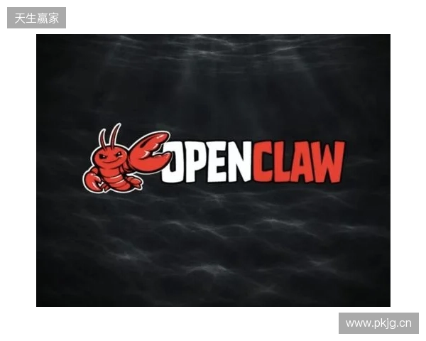 告别小龙虾部署难题！让openclaw落地零门槛，724claw永动虾上线
